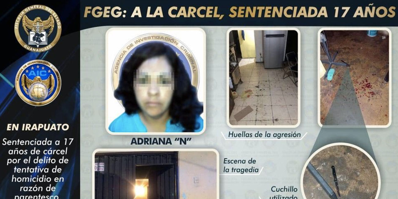 El Bajío Pasará 17 Años En La Cárcel Mujer Que Apuñaló A Sus Hijos 8355