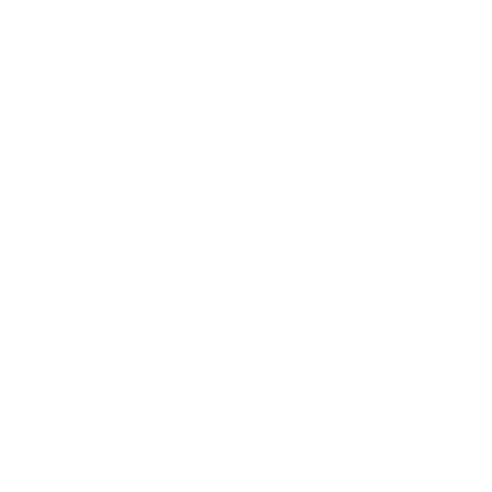 Logo El Bajio